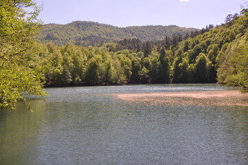 Wall Mural - Beautiful lake and spring landscape in Seven Lakes, Yedigoller National Park Bolu, Turkey