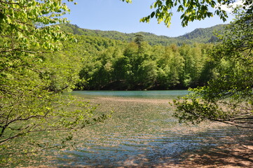 Wall Mural - Beautiful lake and spring landscape in Seven Lakes, Yedigoller National Park Bolu, Turkey