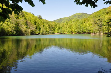 Wall Mural - Beautiful lake and spring landscape in Seven Lakes, Yedigoller National Park Bolu, Turkey