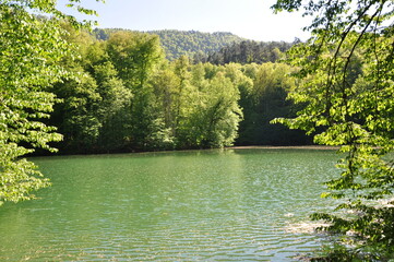 Wall Mural - Beautiful lake and spring landscape in Seven Lakes, Yedigoller National Park Bolu, Turkey