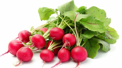 Wall Mural - Freshly harvested organic radishes with vibrant green leaves and rich red color, perfect for healthy salads and culinary creations