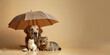 © ZM - Pet insurance background with copy space, dog and cats under an umbrella, pet protection