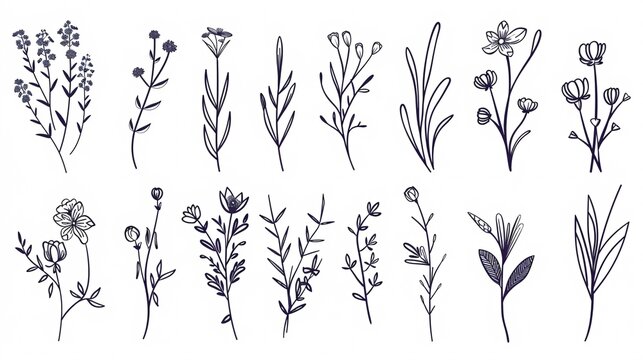Exquisite hand-drawn floral designs in linear and shadow form, featuring flowers, limbs and foliage. Ideal for labels, logos, branding, wedding invites, wreaths, frames and borders.