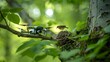 © Nam Sara - A small black drone hovers near a birds nest in a tree