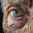 © Aashutosh Pandit - Aging Eyes: The Story of Age and Vision