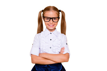 Poster - I'm ready for new year at school! Close up studio photo portrait of pretty lovely adorable satisfied with toothy smile schoolchild wearing classic white trendy shirt isolated vivid background