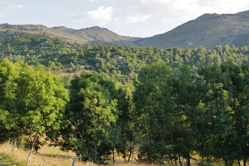 Sticker - vineyard in region