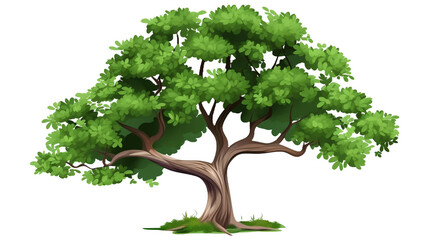 Cartoon illustration of tree on transparent png background.
