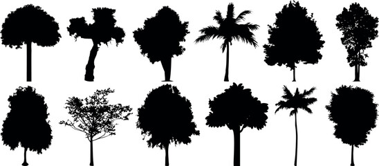Wall Mural - tree silhouette vector set includes various tree types, palm, oak, and more. perfect for nature desi