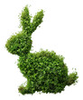 © Rawpixel.com - PNG Rabbit shape made from Plant plant nature green.