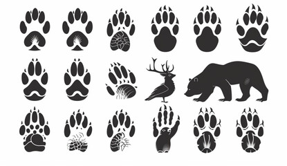 Big set of various animal tracks and paw prints. Dog and cat paws. Bear, wolf claws or leopard footprints