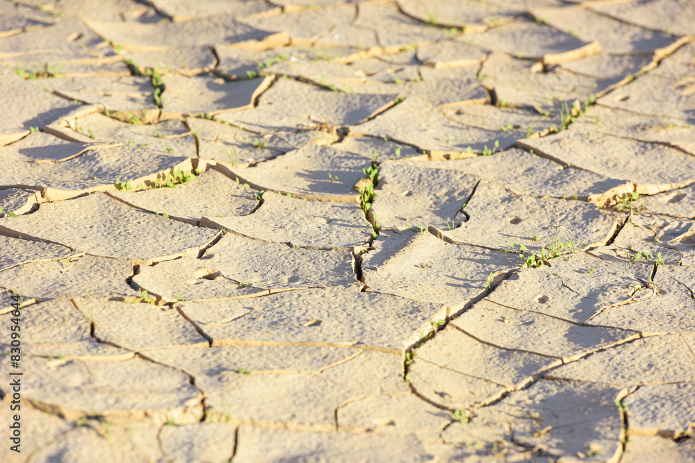 Cracked, parched earth showing the consequences of extreme drought ...