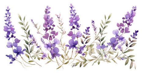 Poster - PNG Lavender flowers blossom purple plant. AI generated Image by rawpixel.