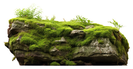 Canvas Print - PNG Moss rock vegetation outdoors. AI generated Image by rawpixel.