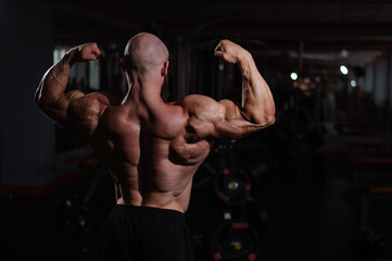 Wall Mural - Caucasian bald man posing in the gym.