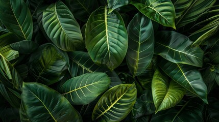Wall Mural - Lush green tropical leaves close-up, showcasing natural foliage and vibrant textures. Perfect for nature-themed designs and background images.
