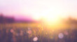 © Tranh - Sweet meadows at sunset blurry background