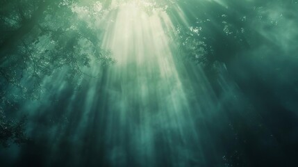 Wall Mural - divine light beam in misty forest spiritual spotlight magic fog texture mysterious nature background
