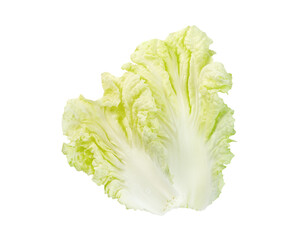 Poster - Fresh chinese cabbage leaf isolated,Green leaves pattern