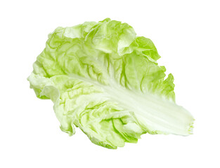 Fresh chinese cabbage leaf isolated,Green leaves pattern