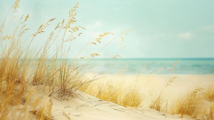 Poster - Soft pastel colored image of dry beach grass on yellow sand by the sea