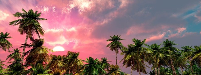 Poster - Palm trees against the background of sunset, Beautiful sunrise or sunset among fabulous clouds, panorama of clouds, 3D rendering