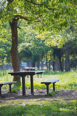 Poster - 晴れの長居公園