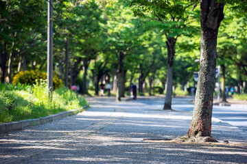 Sticker - 晴れの長居公園