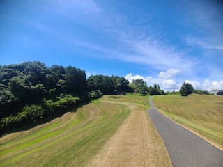 Poster - Narrow country road winding through a vast grassy field