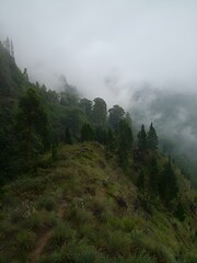 Poster - AI generated illustration of lush green hills under foggy sky with trees and grass