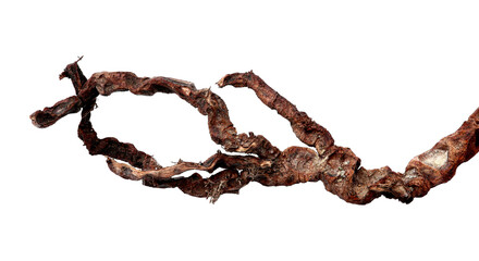 Wall Mural - Old dry tree branch isolated on white, top view