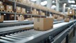 © Pravinrus - Cardboard Boxes Moving on Conveyor Belt in Distribution Warehouse