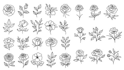 Wall Mural - set of flowers. Collection of hand drawn flowers. Outline roses and leaves.  