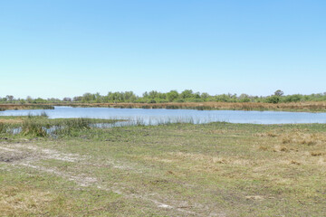 Wall Mural - Botswana