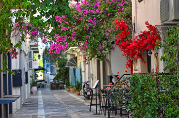 Canvas Print - Nafplion town narrow streets with Bougainvillea flowers