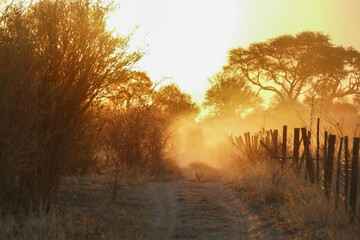 Wall Mural - Botswana