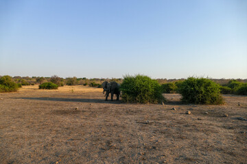 Poster - Botswana