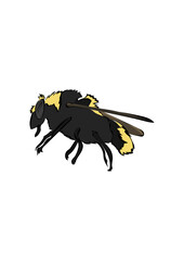 Sticker - Bee