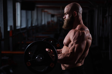 Wall Mural - Caucasian bald topless man doing an exercise with a barbell in the gym. Bicep curls with weights.