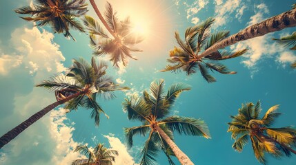 looking up at blue sky and palm trees, view from below, vintage style, tropical beach and summer bac