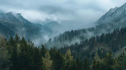  Forest covered mountain range under overcast skies