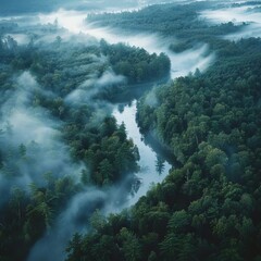 Wall Mural - misty forest and winding river from above aerial landscape photography