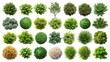© artsakon - Collection of plan 2D view bushes isolated on white background for graphic design visualization