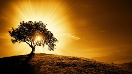 Wall Mural -   A solitary tree atop a hill with the sun filtering through the cloudy sky and casting its rays onto the distant horizon