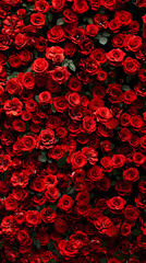 Wall Mural - A collection of vibrant red roses arranged neatly in a glass vase