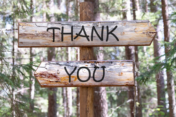 Thank you message written on a piece of a wooden pole against the background of a forest