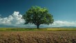 © 1000lnw - A single tree dividing a fertile green field and dry cracked earth, representing climate change impact, Realistic, High contrast, Photography