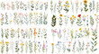 © Pixel Park - Beautiful floral set with watercolor wild field flowers.  floral watercolor illustration for greeting card, invitation and other printing design. Wild flowers hand drawing vector EPS.