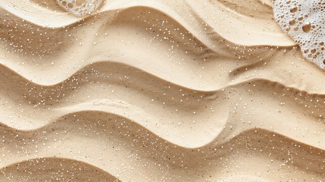 Wet Sand Texture 