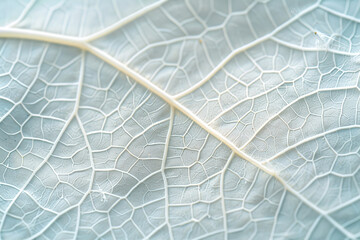 Generative ai on theme of beautiful texture leaf from tree for design natural abstract background